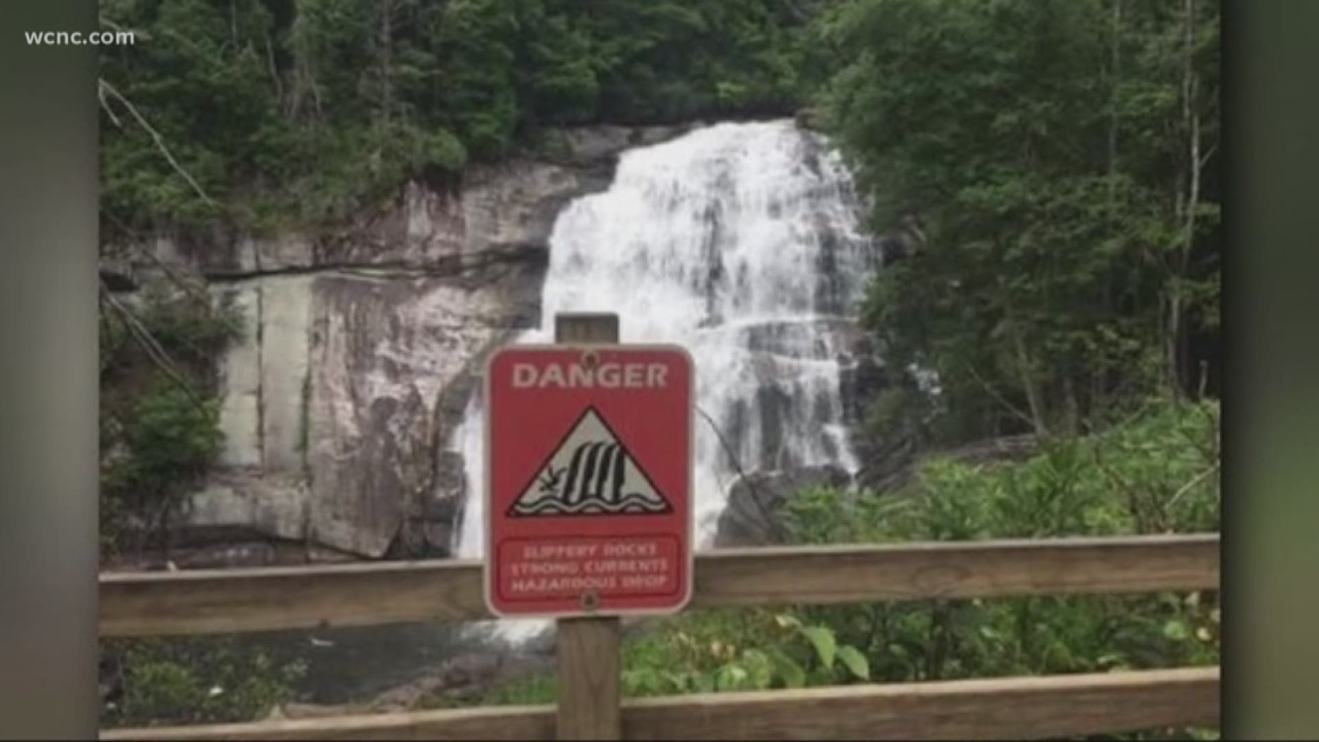 A South Carolina man died on Saturday after being swept over Rainbow Falls while trying to save his dog, according to officials.