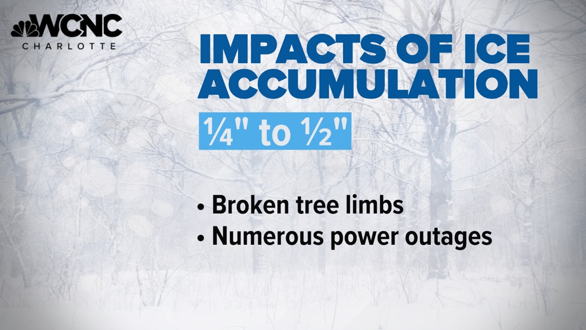 Winter storms and power outages | wcnc.com