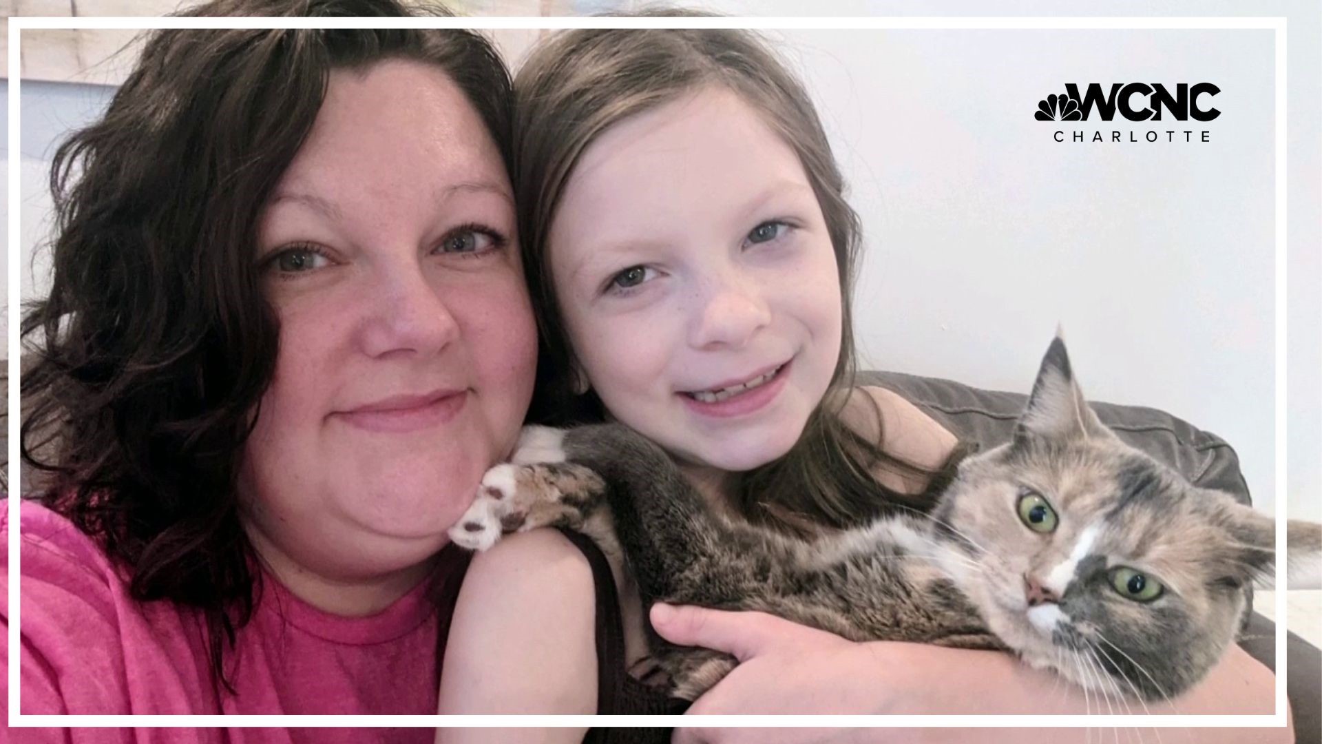 Brenna Edwards has learned a lot about life by rescuing cats. But she can't save them all, so she's raising money to help more felines find their forever homes.