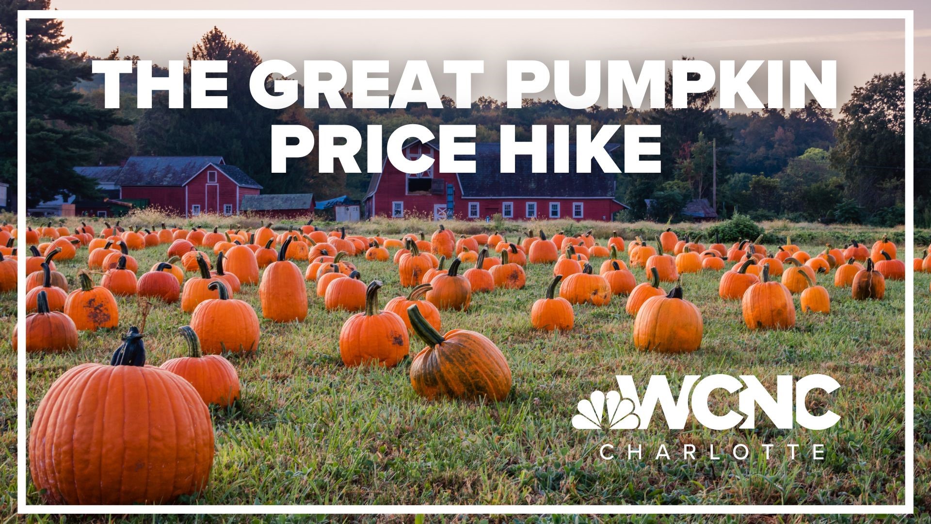 The great pumpkin price hike: Halloween costs soar to new heights