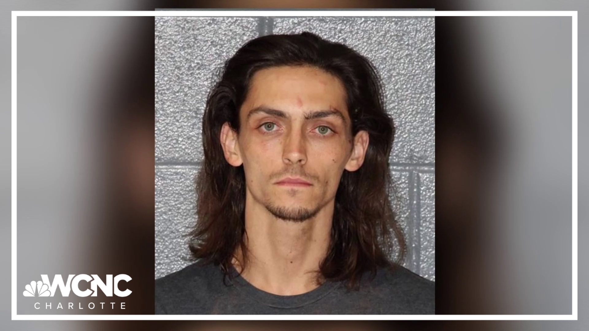 Officers arrested Tyler Harding over the weekend for allegedly stealing a car and running from police. Harding was recently released from jail.