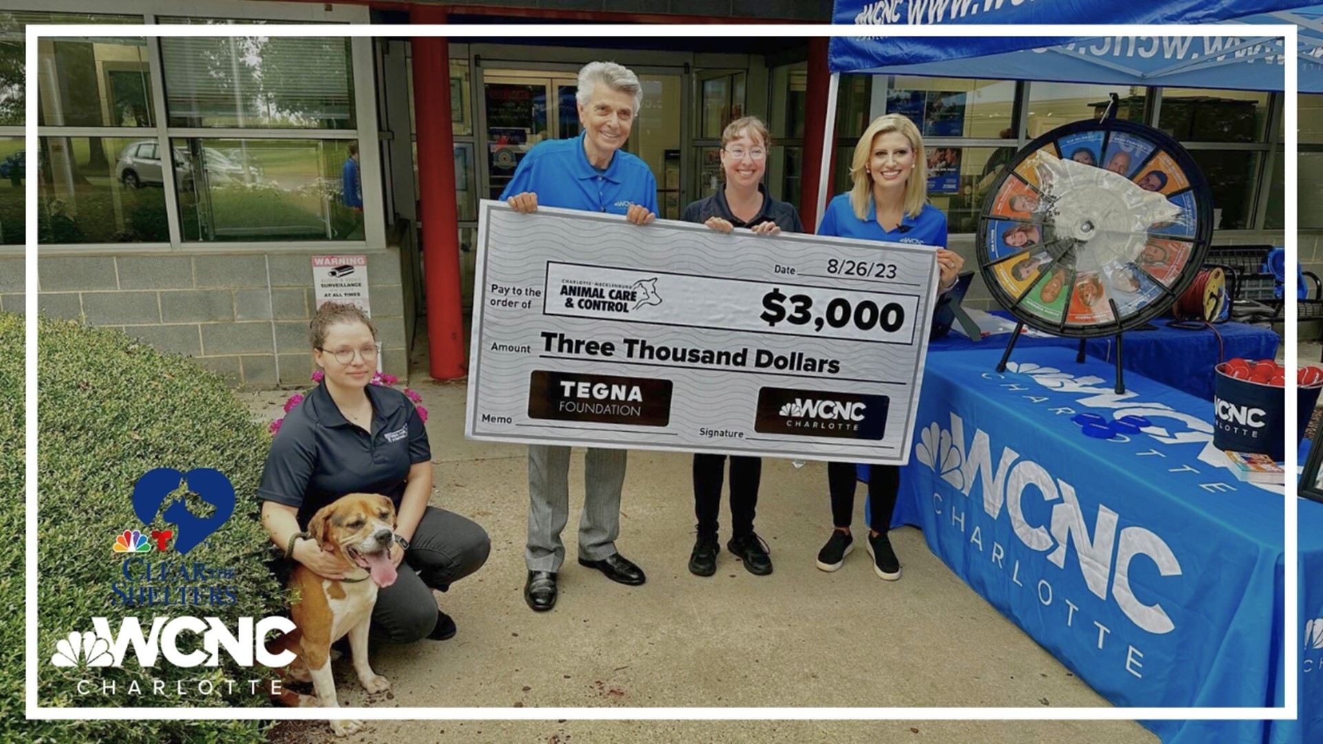 Help pets find forever homes through Clear the Shelters adoption | wcnc.com