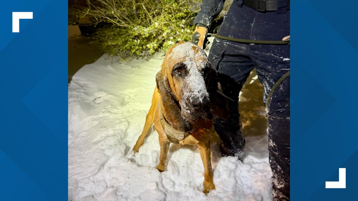 Gastonia teen with special needs found safe after snowstorm search effort