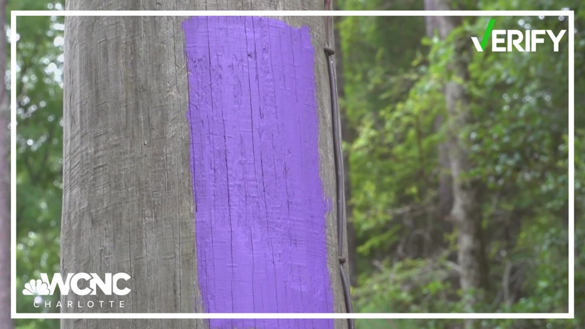 Does purple paint on a tree mean no trespassing VERIFY wcnc com