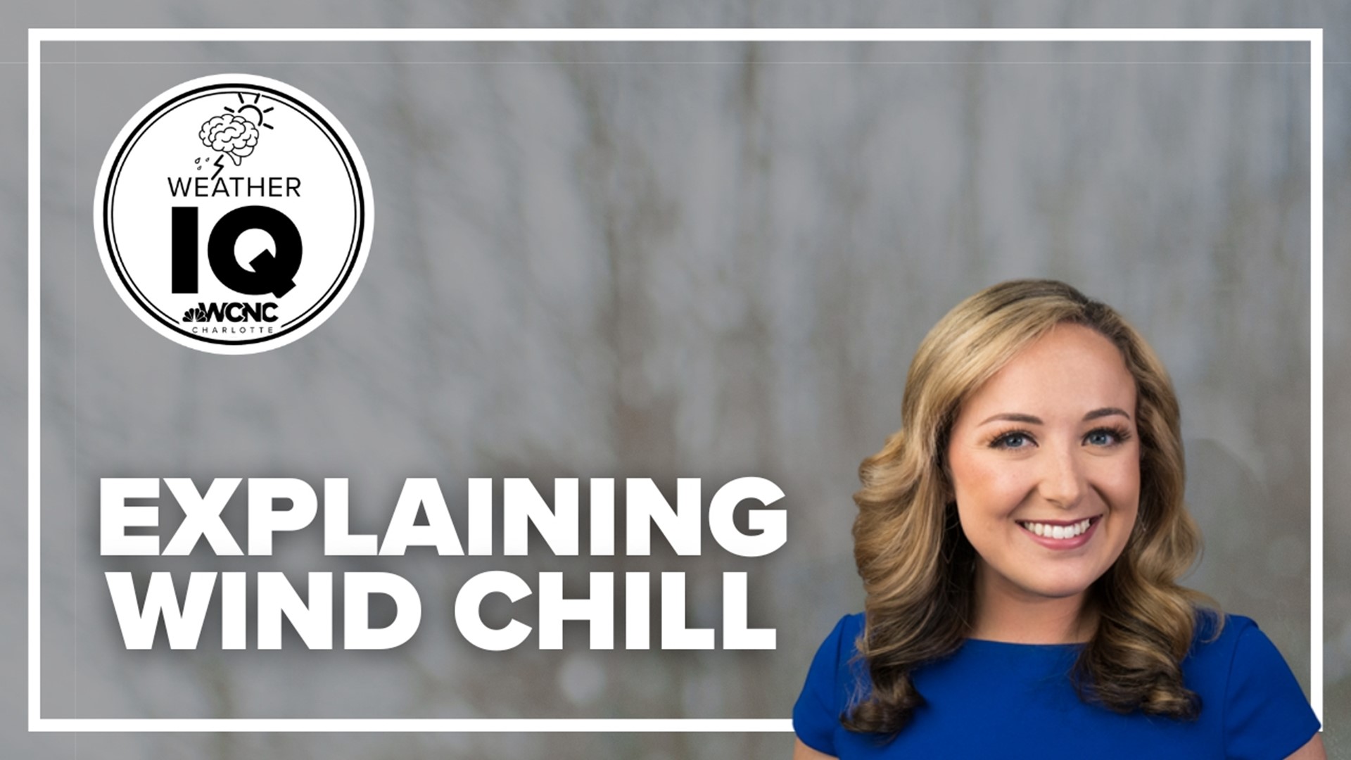 Meteorologist Brittany Van Voorhees breaks down what wind chill is in this week's weather IQ.