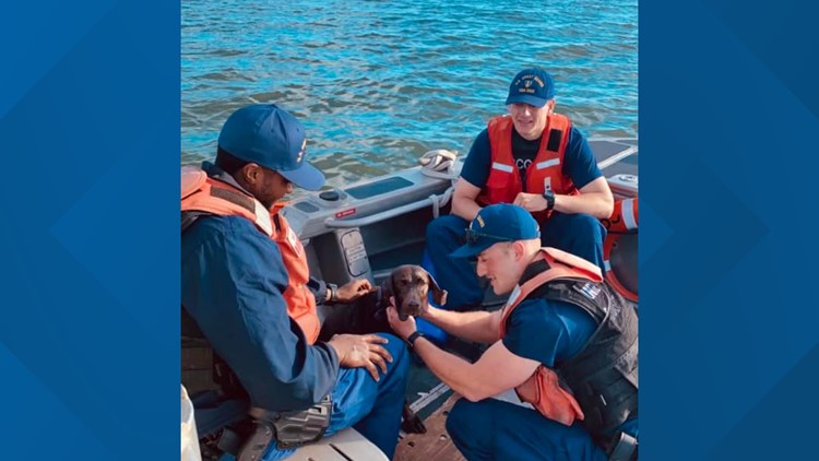 Coast Guard rescues dog that fell overboard off North Carolina coast