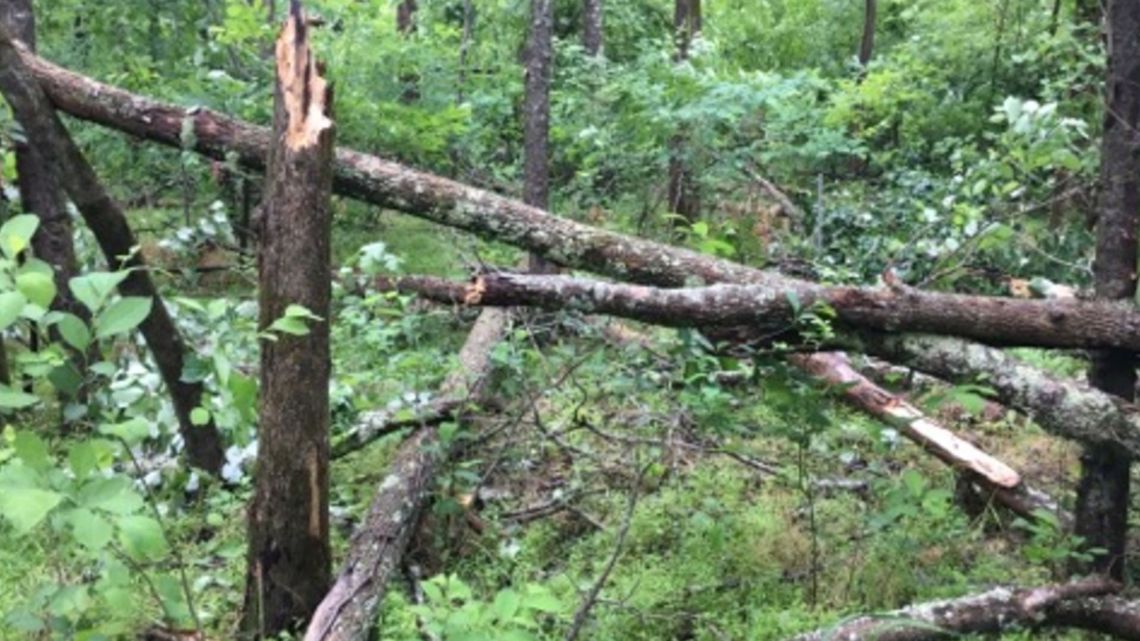 Storm Damage Across The Charlotte Area | Viewer Photos | Wcnc.com