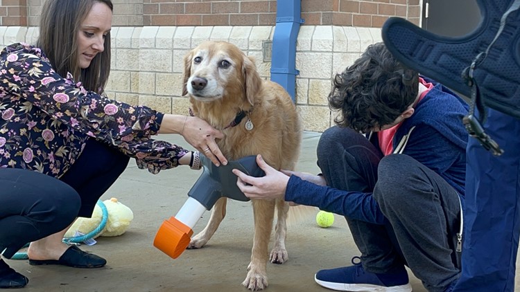 Dog who lost leg to cancer gets a prosthetic leg thanks to clever high schoolers