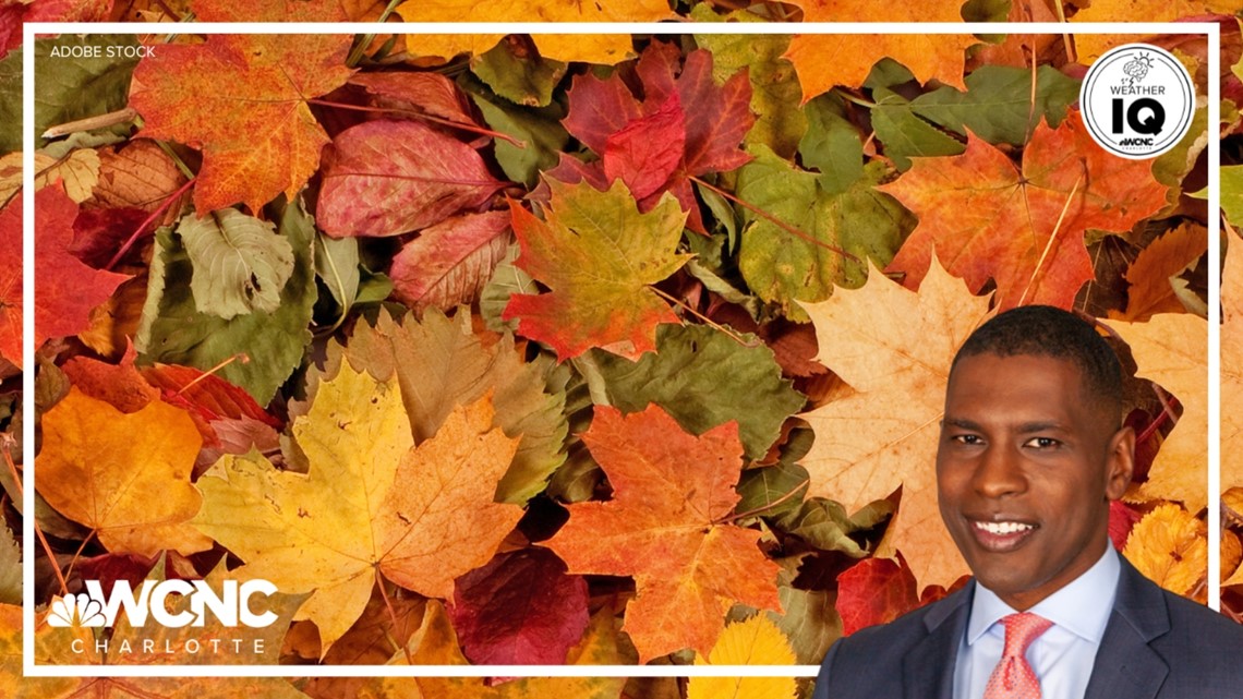 Weather IQ: Why autumn leaves change colors | wcnc.com