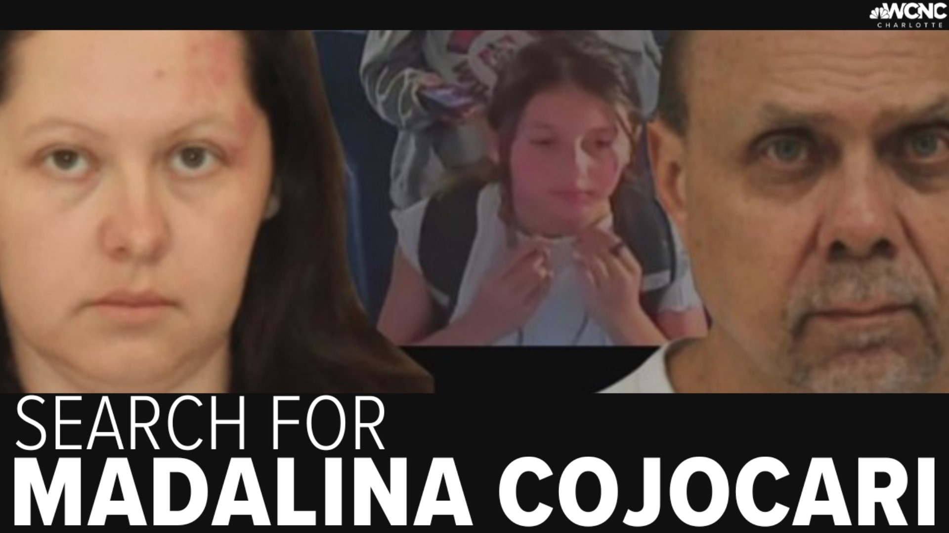 Documents show that Diana Cojocari wanted help getting the missing Cornelius, North Carolina girl away from her husband, Christopher Palmiter.