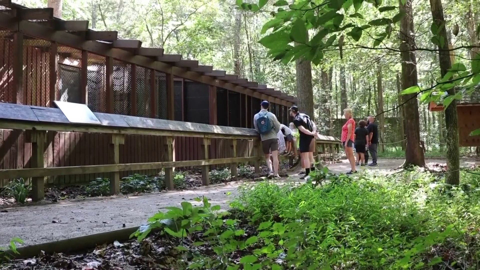 Buff Raptor Centres Going behind-the-scenes at the Carolina Raptor Center | wcnc.com