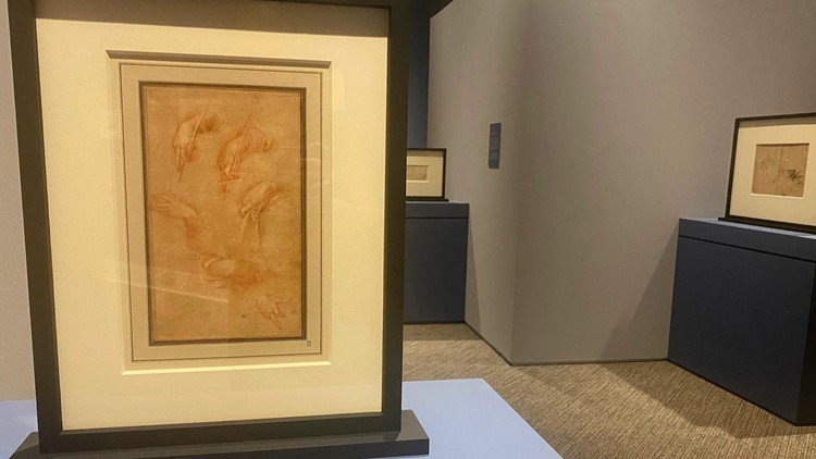 Rare Rembrandt drawings on display at North Carolina museum