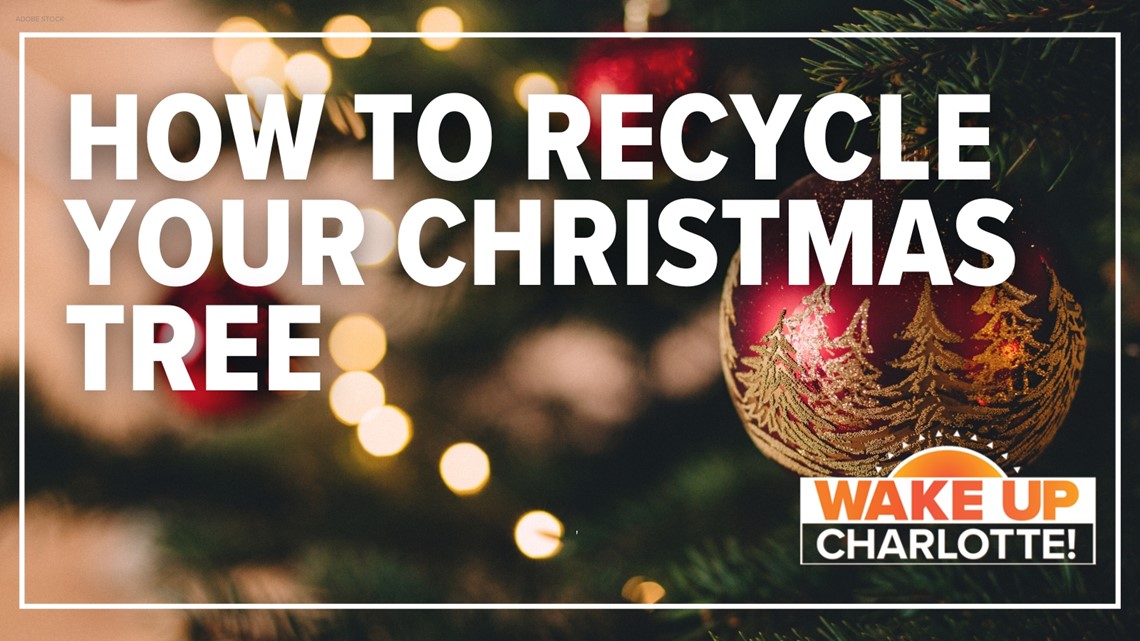 Taking down your Christmas tree? Here's how to properly dispose of it