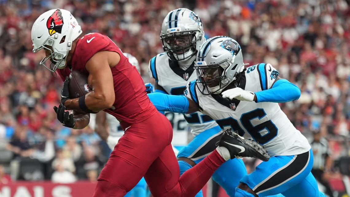 Cardinals defeat Panthers 27-22 as Panthers rally falls short