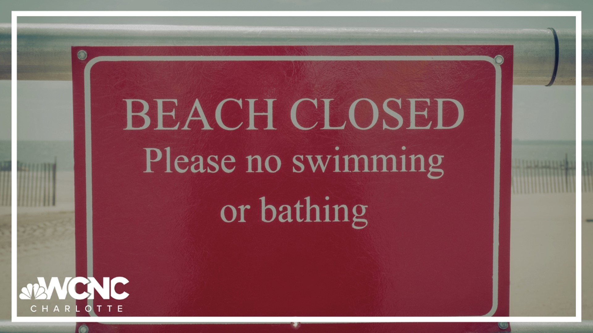 Mecklenburg County's beach will be closed Saturday due to elevated bacteria in the water.