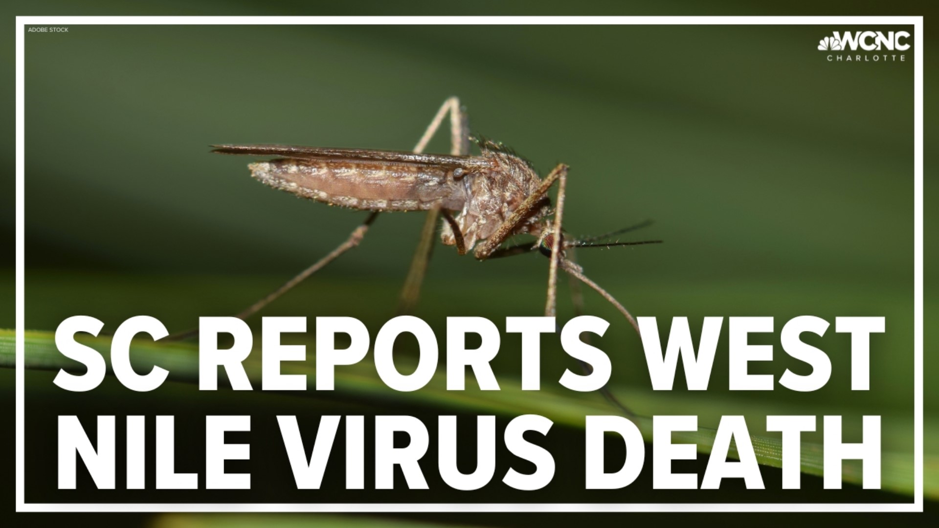 A person in the Midlands has died of the West Nile virus, state health officials confirmed Monday, the first West Nile death in the state this year.