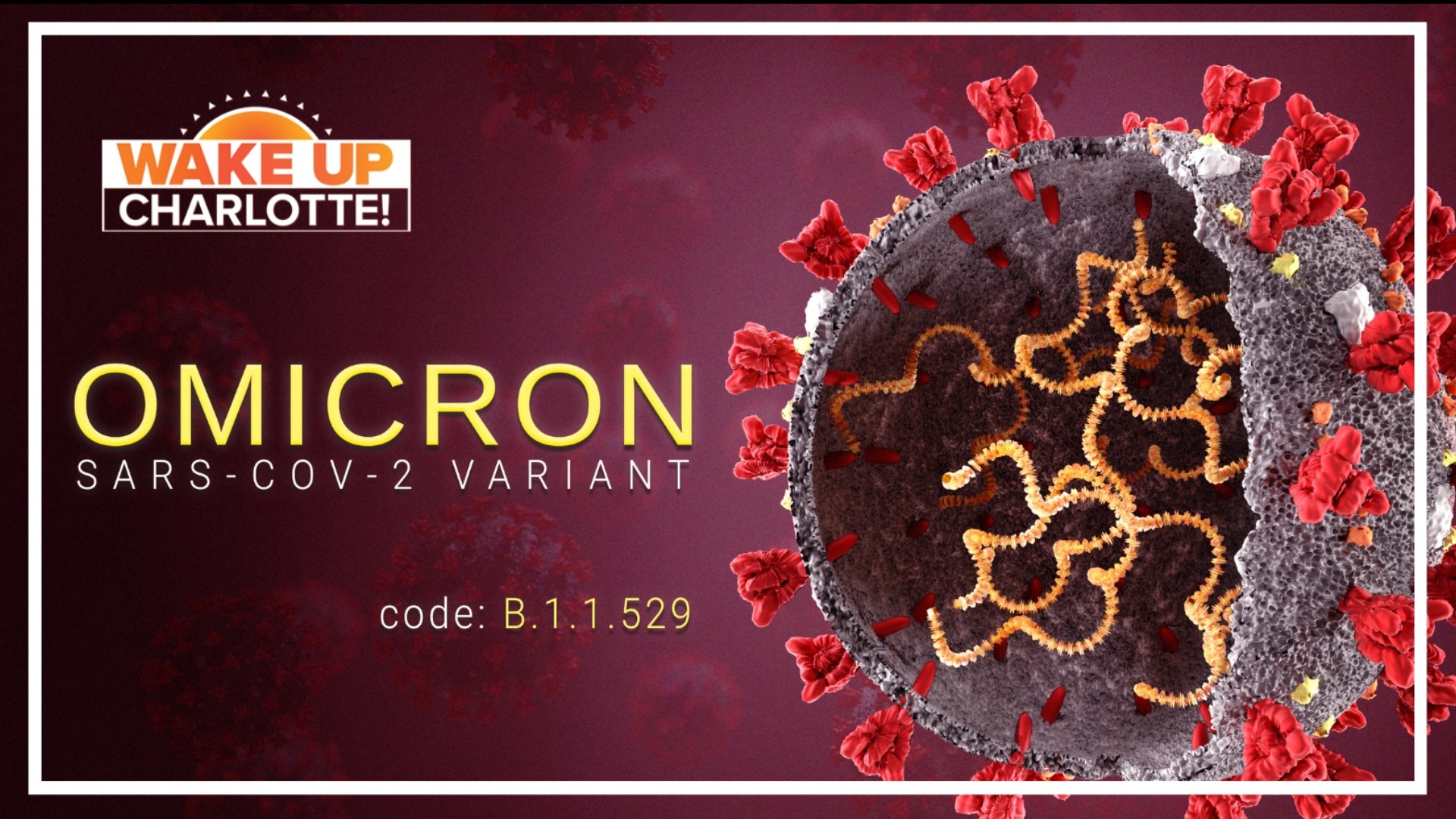 Omicron subvariants dominant in North Carolina