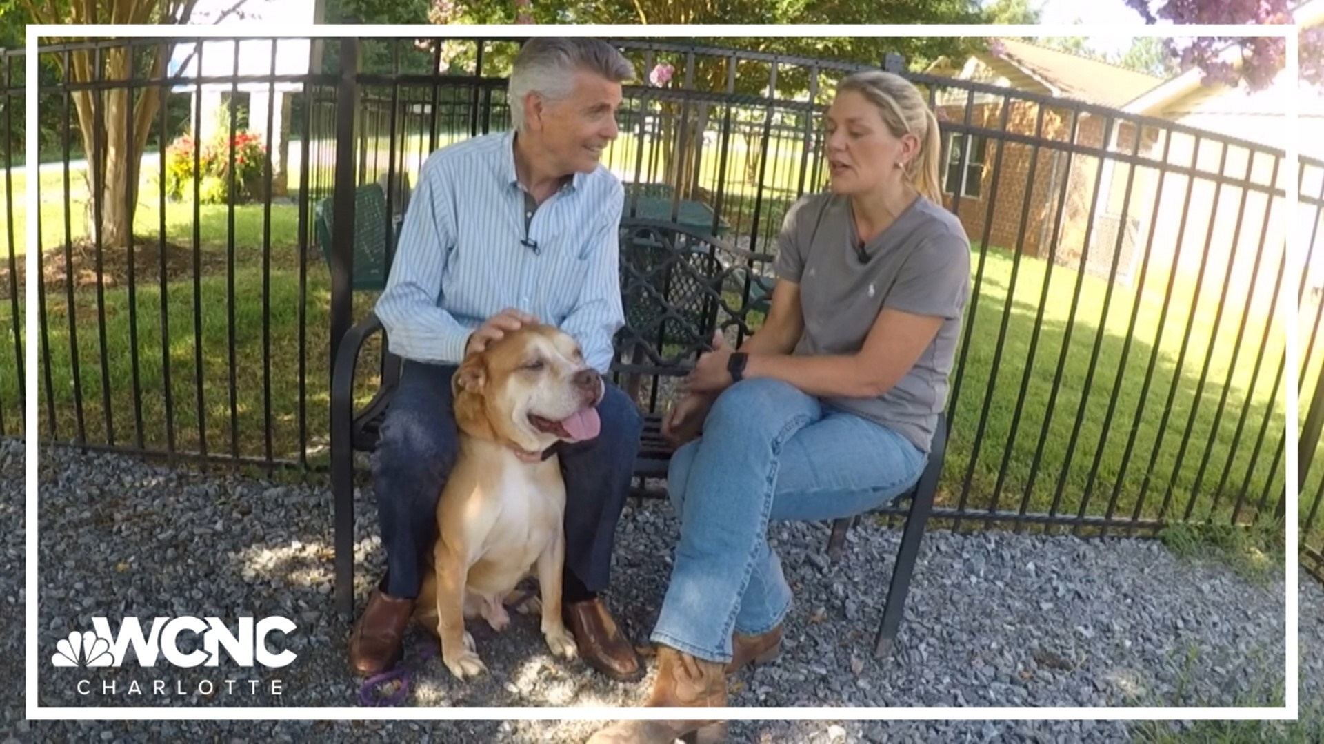 WCNC Charlotte's Larry Sprinkle introduces us to Skip, who is looking for his forever home.