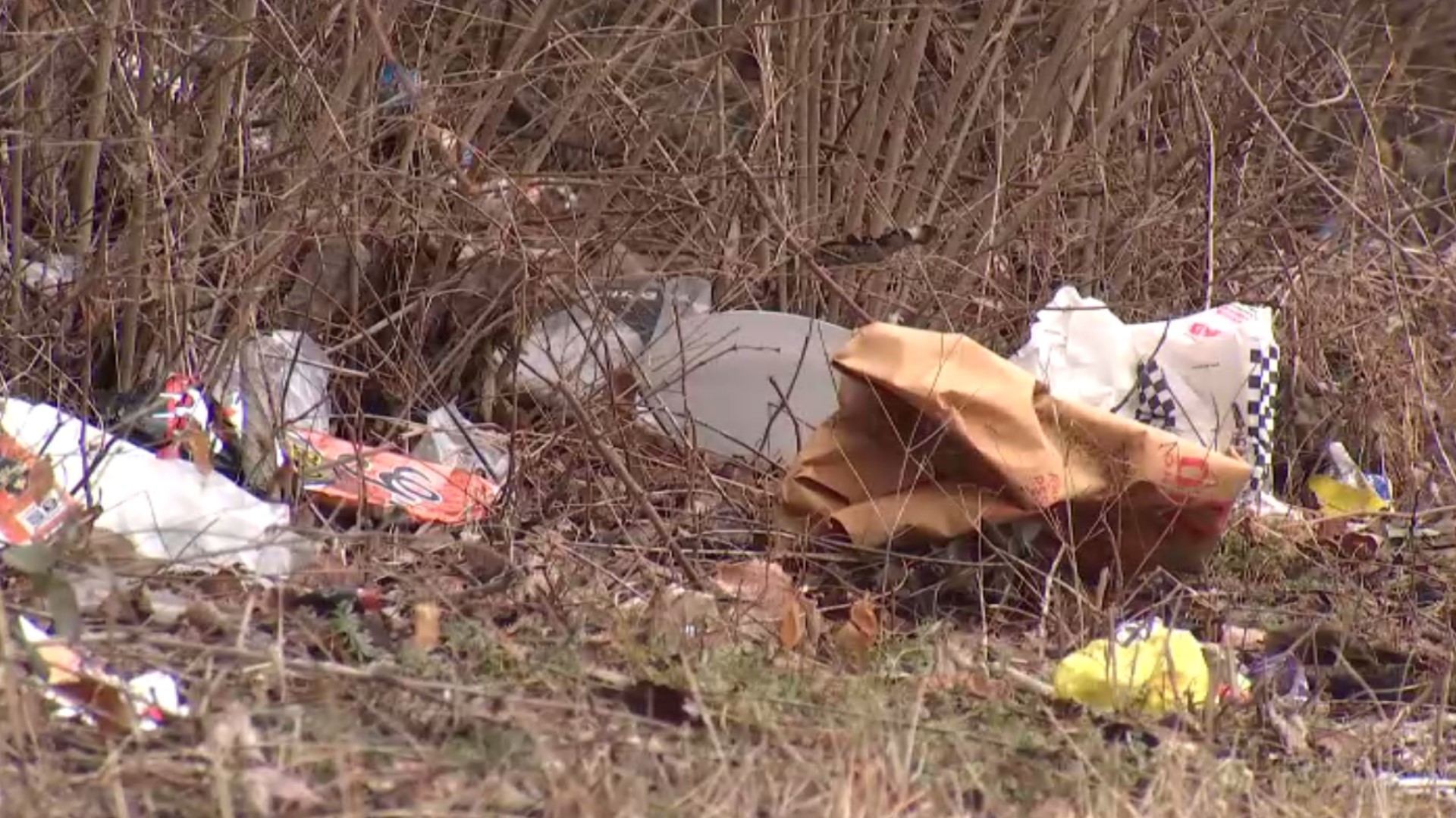 With so many people moving to Charlotte, and the pandemic cutting programs, has Mecklenburg County seen more litter on its roadways?