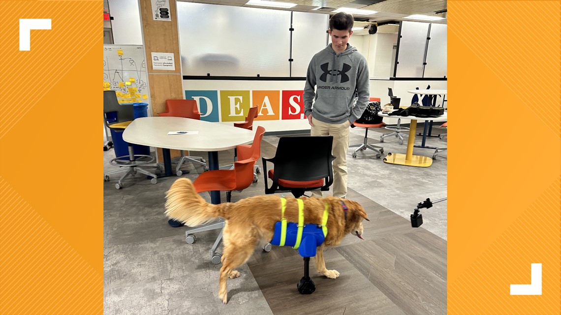 High schoolers make prosthetic for dog who lost leg to cancer