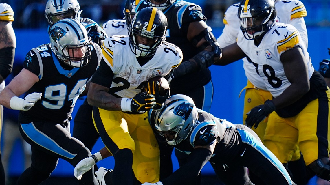 Panthers lose, 24-16, to Steelers