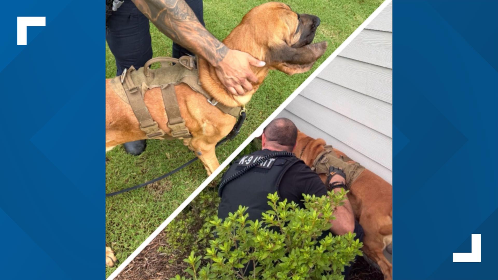 Locact K-9 Bo helps locate missing Belmont child | wcnc.com