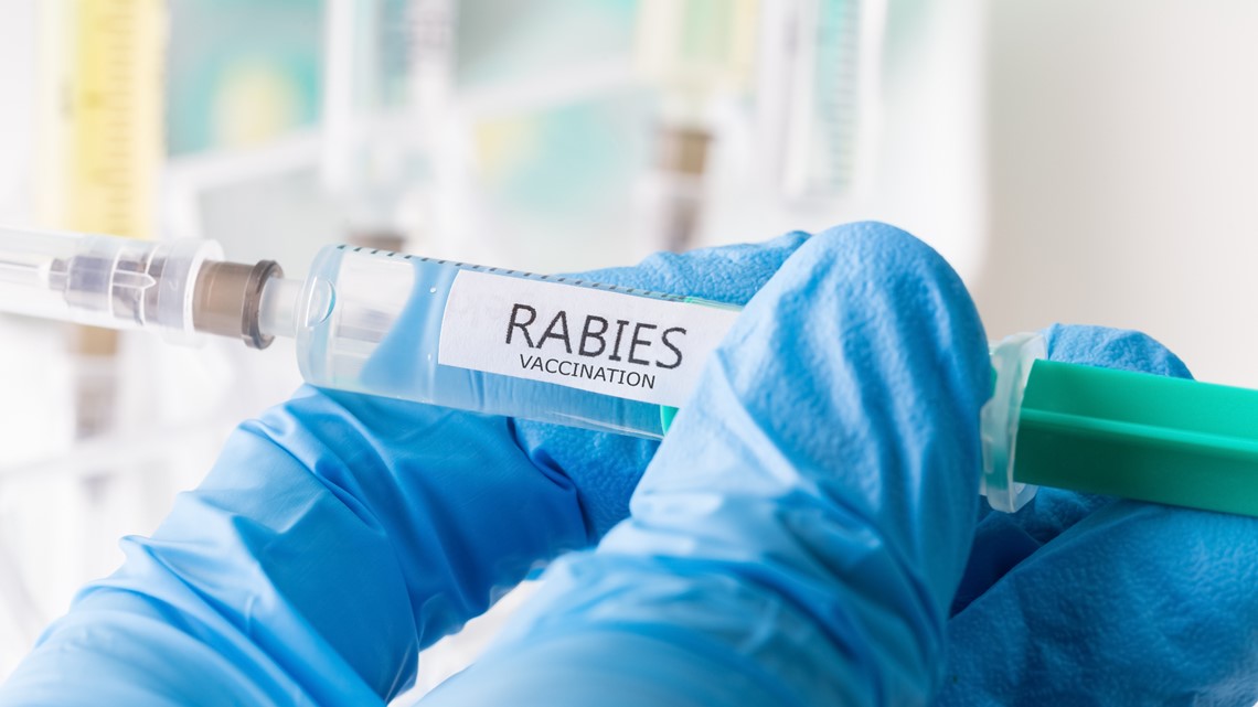 Rabies case reported in Caldwell County