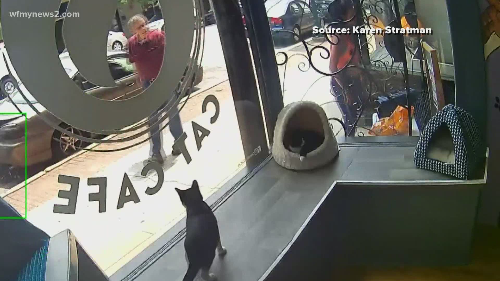 A woman was caught on camera dropping off crates of cats and kittens at the Crooked Tail Cat Café in downtown Greensboro.