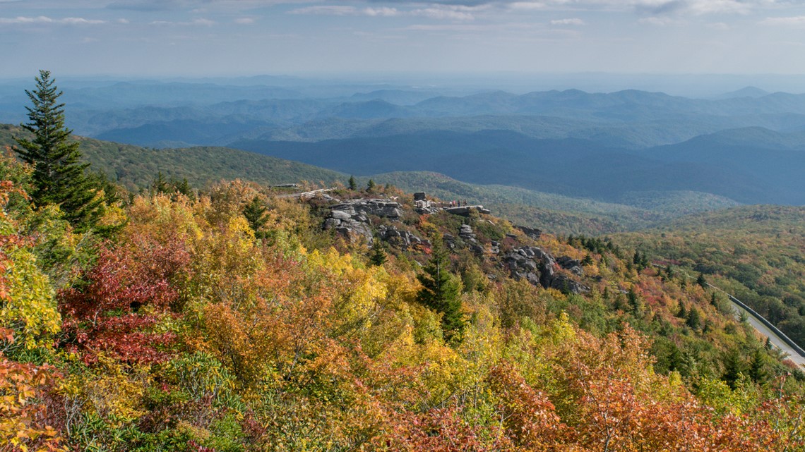 Couple attacked by bear on Blue Ridge Parkway - Vimarsana News