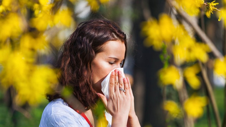 Achoo! Advice to find some relief during allergy season