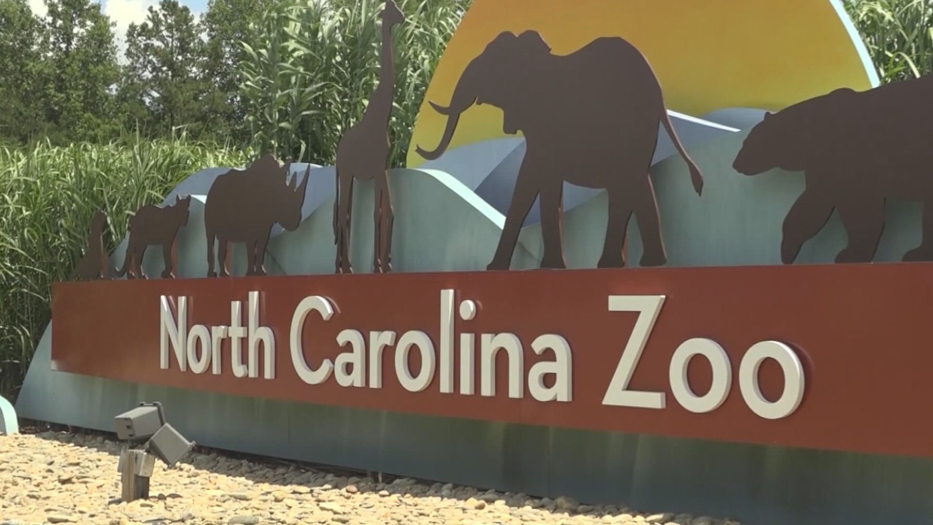 North Carolina Zoo wins 'Best Zoo' in the nation | wcnc.com