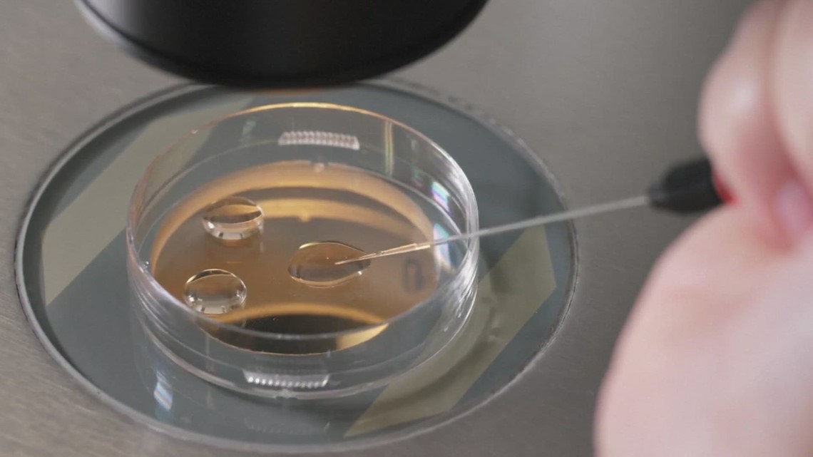 Alabama Supreme Court rules that frozen embryos are 'children' - Vimarsana News