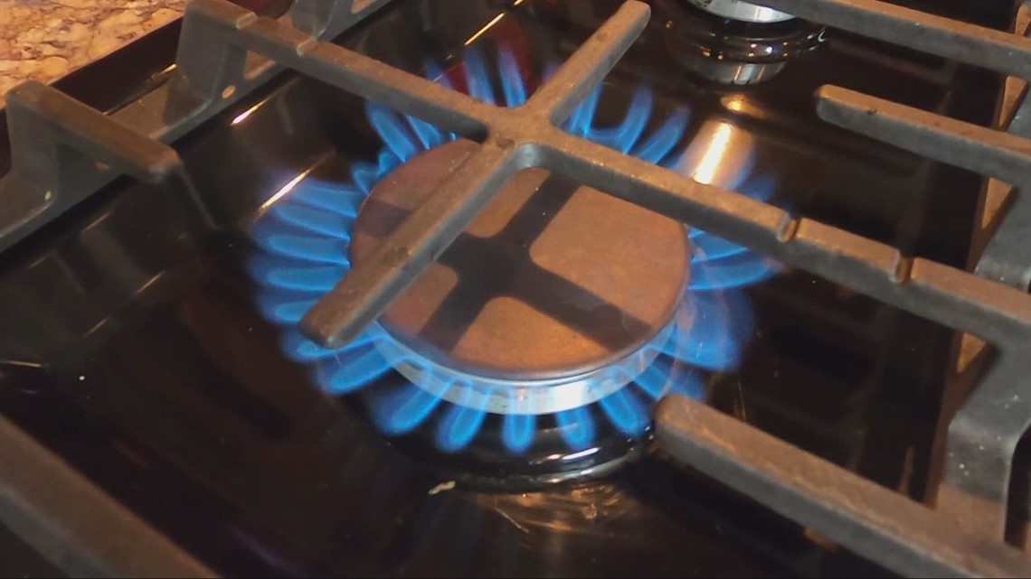 Experts weigh in on potential dangers of gas stoves - Vimarsana News