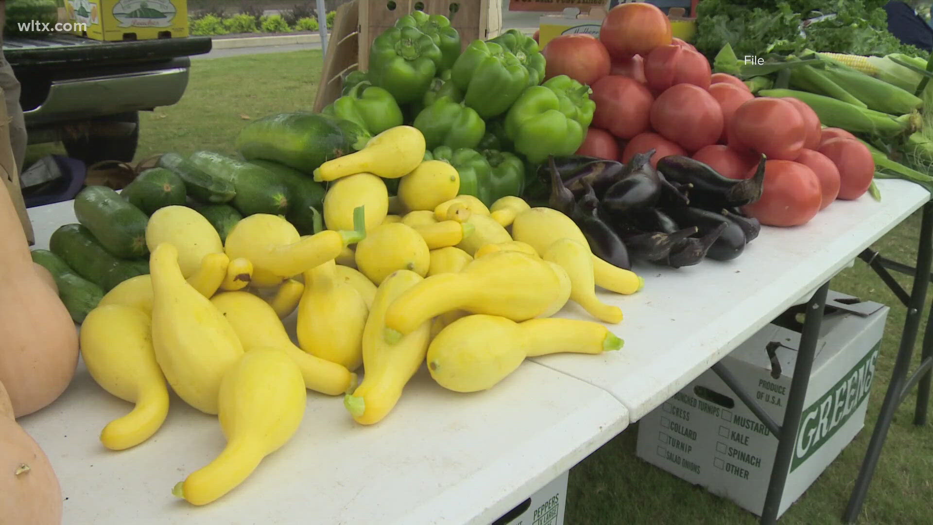 Qualifying seniors can receive the money through Senior Farmers' Market Nutrition Program, beginning June 1.