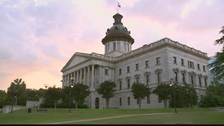 SC abortion laws could be changing very soon