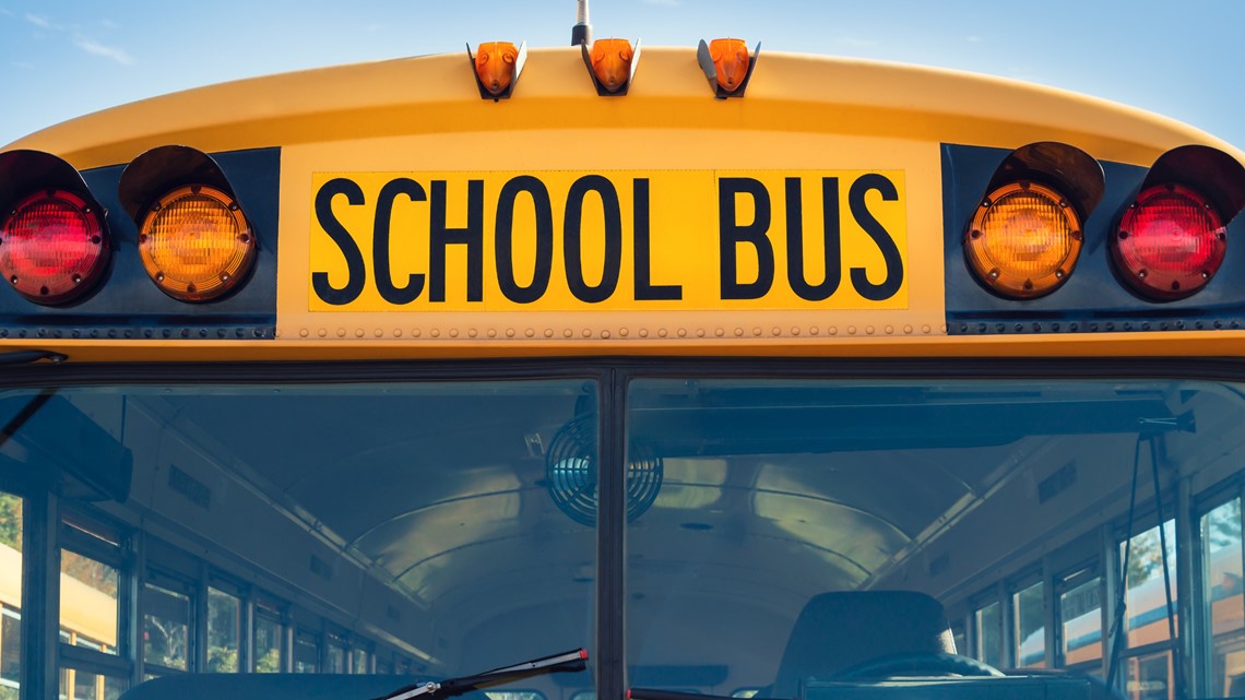 South Carolina schools closing moving to e-learning Friday - Vimarsana News