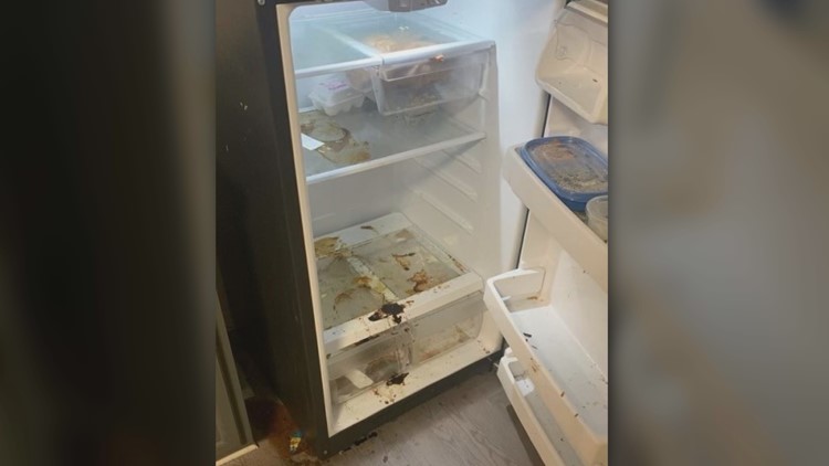 Parent calls apartments 'bait-and-switch' as students arrive to 'filthy' conditions