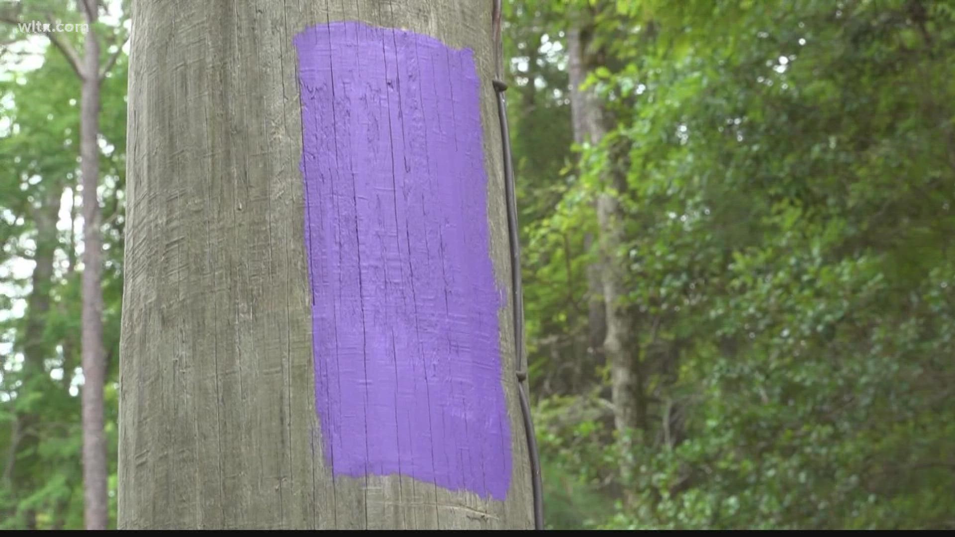 South Carolina landowners can now mark property boundaries with purple paint as another way to say, 'no trespassing.'