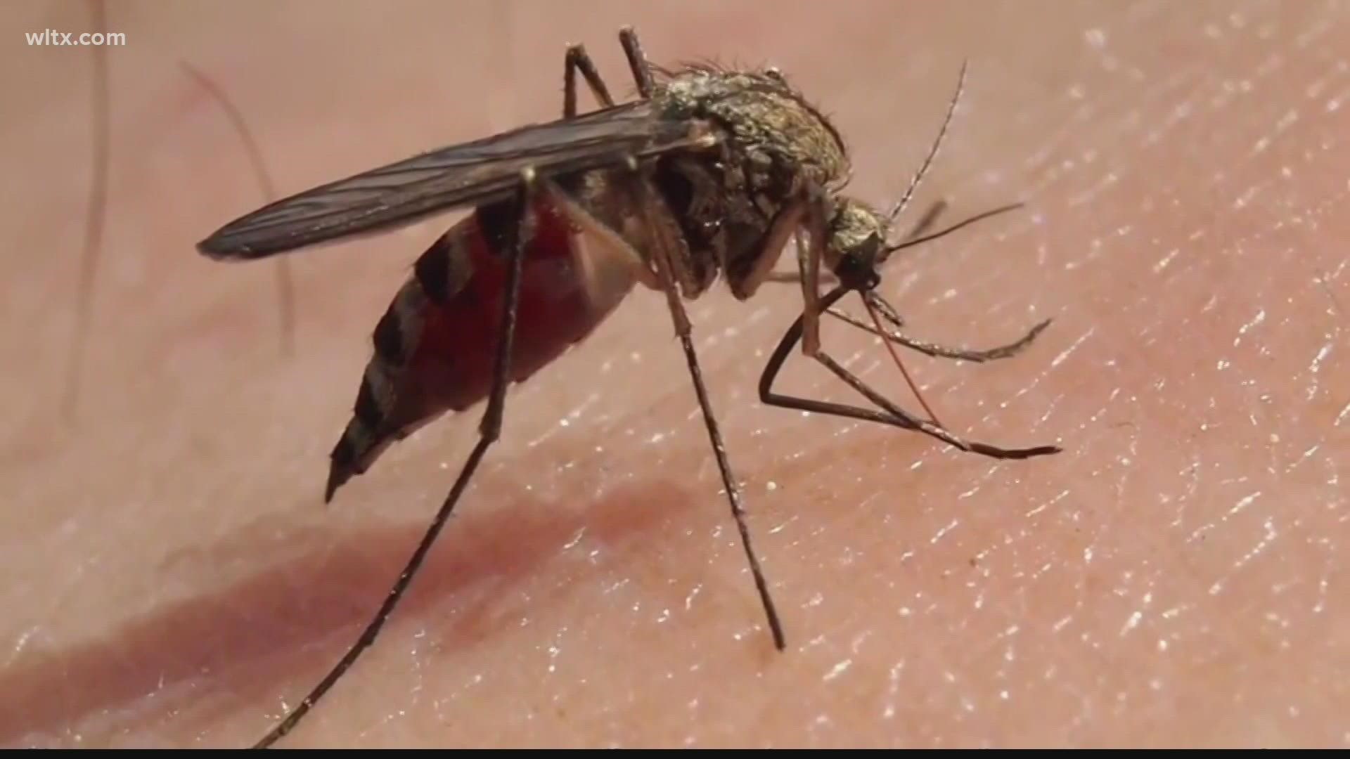 Residents are urged to protect themselves as the City of Columbia continues to spray for mosquitos.