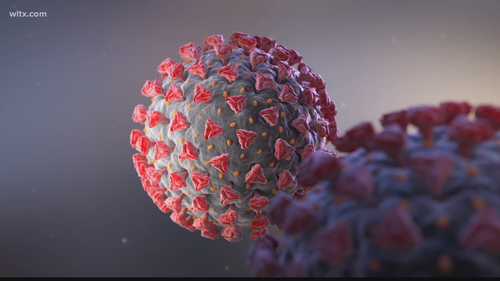 Studies are underway to learn more about the long-term effects of the virus – a condition state health officials call “long COVID.”