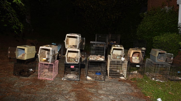 South Carolina animal rescue director arrested after 28 dogs, 2 cats found dead in home