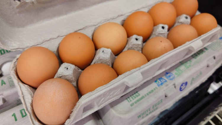 Egg prices impacting bakeries in Charlotte: 'We’ll have to keep increasing our prices'