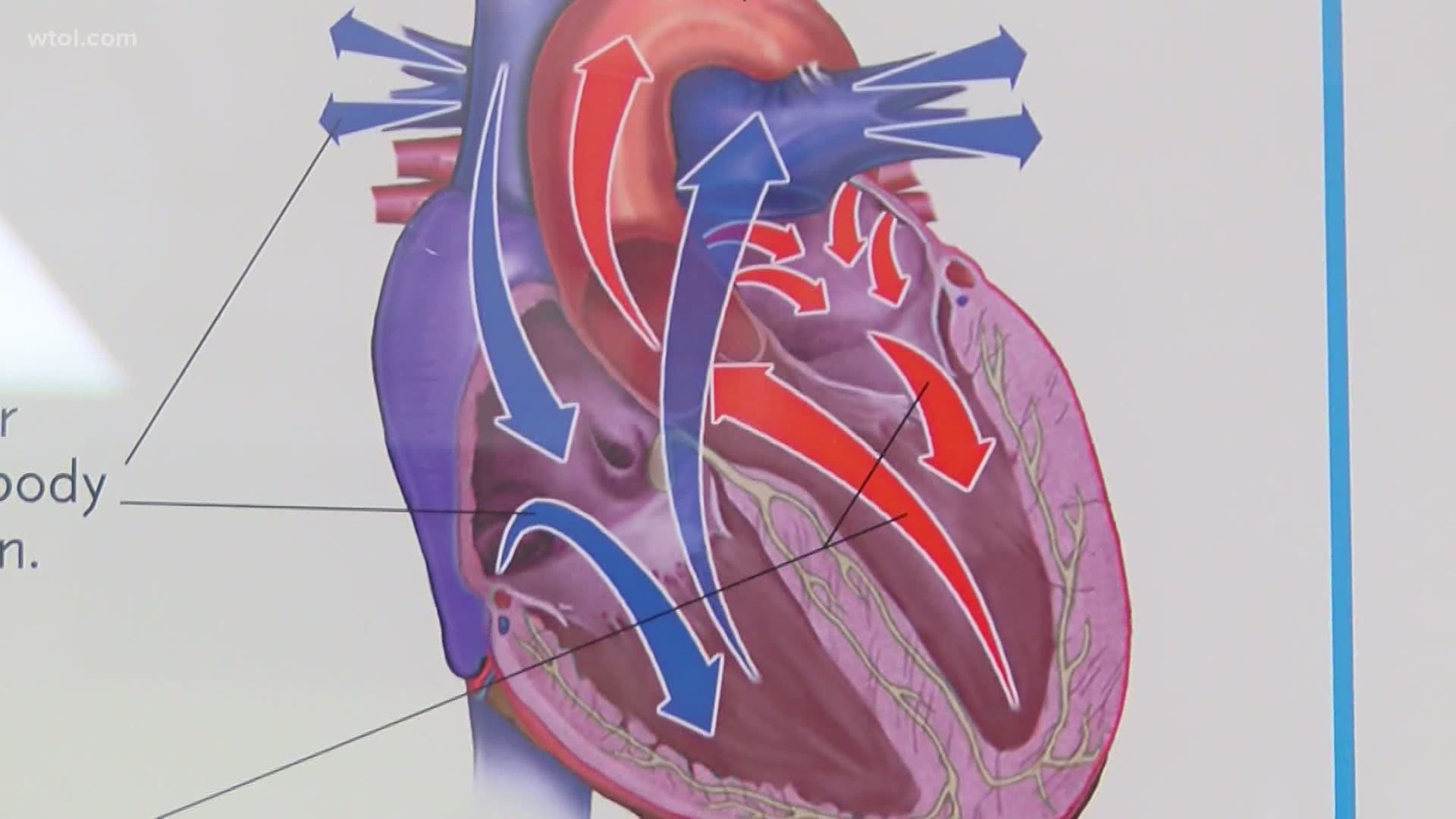 Dr. Dingding Xiong, with Mercy Health Children's Hospital says your heart can go into shock and you shouldn't over-exert yourself when recovering from COVID-19.