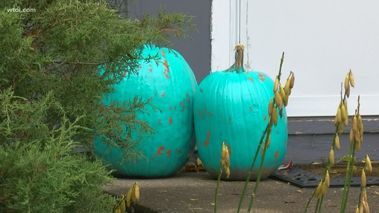 Teal and blue pumpkins: The meaning behind the colors