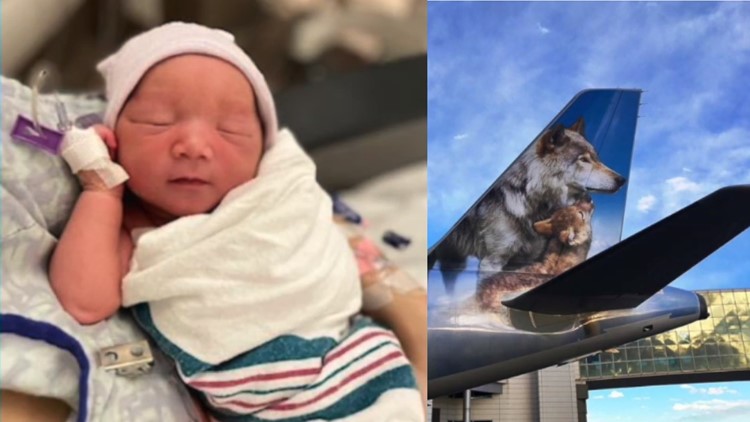 Baby born mid-air on Frontier flight to Florida