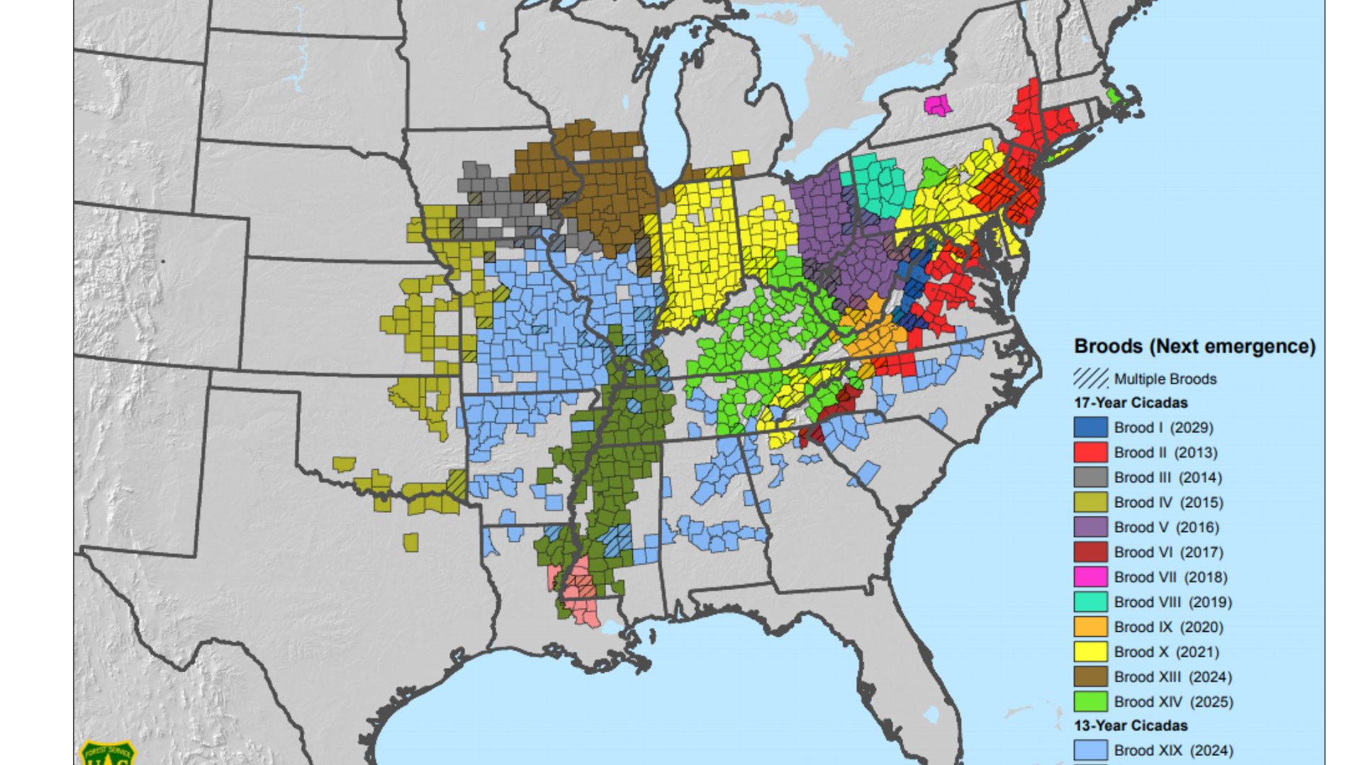 Brood X cicada map 2021 How long is life cycle of brood x?