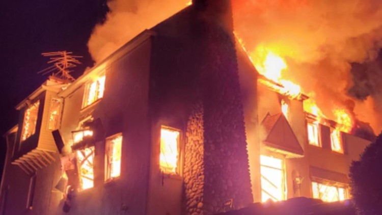 Maryland man burns up million-dollar mansion to get rid of snake infestation