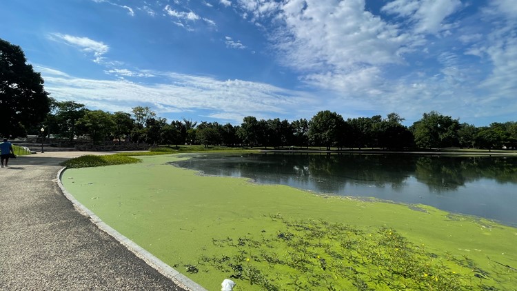 'The whole place would become a swamp' | Plans underway to restore part of the National Mall