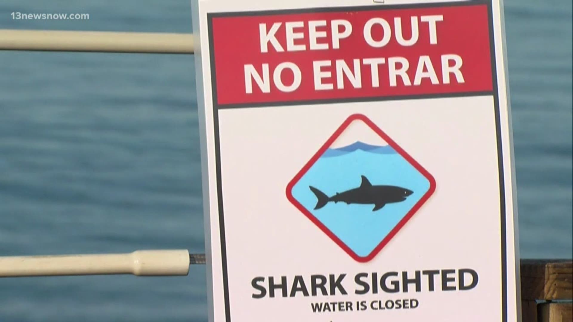 Shark attacks are on the news a lot because they're on the rise, but that is also because development along the coast is increasing.