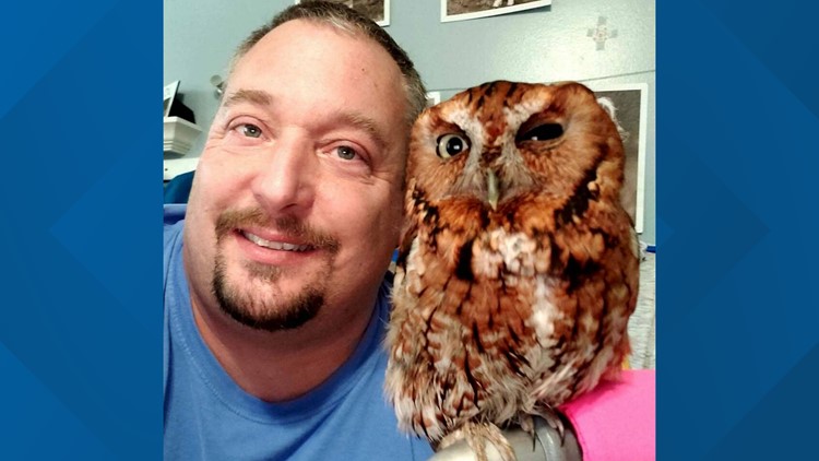 'Second chance at life' | Va. deputy rescues injured owl, nurses her back to health